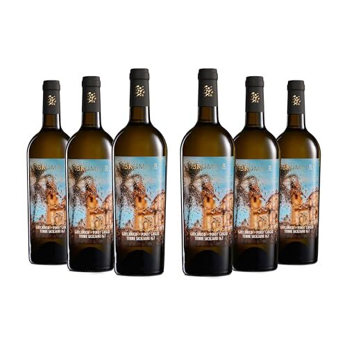 Brumale Vino Bianco Grecanico Pinot Grigio Terre Siciliane IGT, Gusto Ricco e Profumo Fruttato, 12% Vol, Confezione con 6 Bottiglie da 750 ml