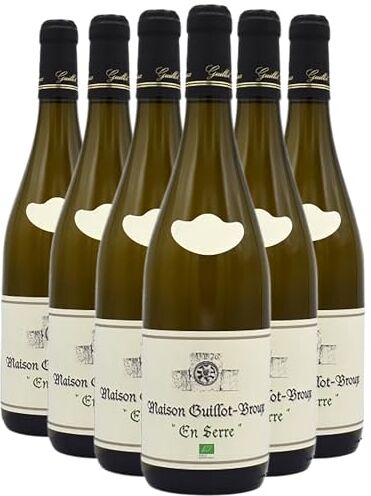 Generico Mâcon Chardonnay En Serre bianco 2022 Organico Domaine Guillot-Broux DOP Borgogna Francia Vitigni Chardonnay 6x75cl