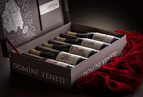 DOMINI VENETI Cofanetto di 5 Amarone Cru della Valpolicella