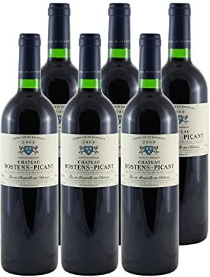 Generico Château Hostens-Picant rosso 2008 DOP Sainte-Foy-Bordeaux Bordeaux Francia Vitigni Merlot,Cabernet Franc 6x75cl