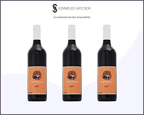 Sommelier Wine Box Apple Tree Flat SHIRAZ   Cantina Adelseck   Annata 2016