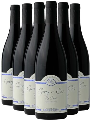 Generico Givry 1er Cru En Choué rosso 2022 Domaine René Bourgeon DOP Borgogna Francia Vitigni Pinot Noir 12x75cl