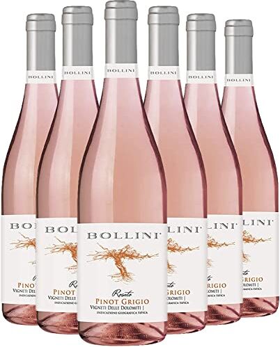 Bollini Pinot Grigio Rosato Vigneti delle Dolomiti 2020-93 punti Luca Maroni Vino Trentino Rosé IGT 0.75L (6 Bottiglie)