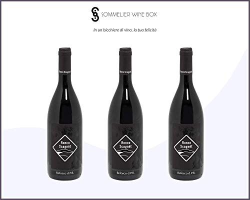 Sommelier Wine Box REFOSCO DAL PEDUNCOLO ROSSO VENEZIA GIULIA   Cantina Ronco Scagnèt   Annata 2018