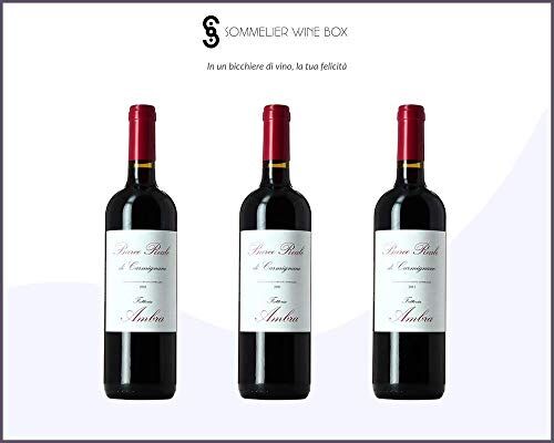 Sommelier Wine Box BARCO REALE DI CARMIGNANO   Cantina Fattoria Ambra   Annata 2019