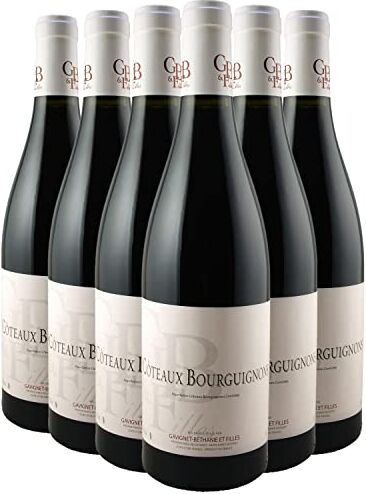 Generico Côteaux Bourguignons rosso 2021 Domaine Gavignet-Béthanie et Filles DOP Borgogna Francia Vitigni Pinot Noir,Gamay 6x75cl