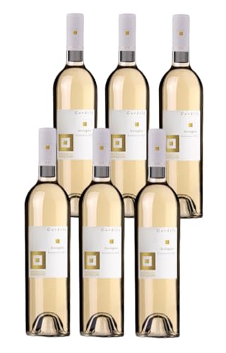 Cantine Antigori 6 bottiglie di Vermentino DOC Sardegna Cardile Biologico Antigori vino bianco 6x750 ml