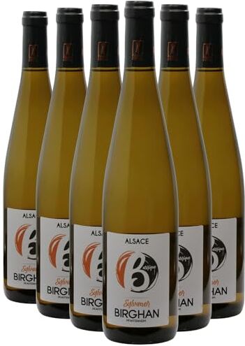 Generico Alsace Sylvaner Élevé en barrique bianco 2022 Organico Birghan DOP Alsazia Francia Vitigni Sylvaner 12x75cl