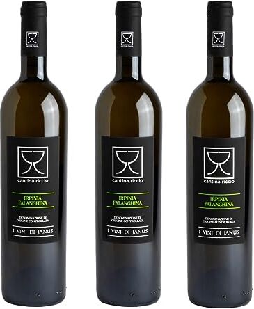 Cantina Riccio 3 bottiglie di Falanghina Irpinia Doc 2022  I Vini di Janus vino bianco (3x0,75 litri)