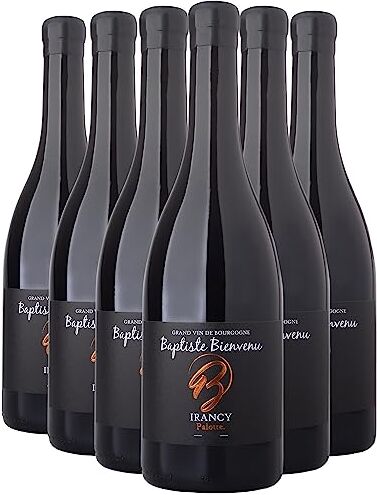 Generico Irancy Palotte rosso 2021 Baptiste Bienvenu DOP Borgogna Francia Vitigni Pinot Noir 6x75cl