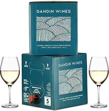 Vigne di Giulia Bag in Box vino Sauvignon IGT Venezia Giulia 13%  2 confezioni da 5 litri