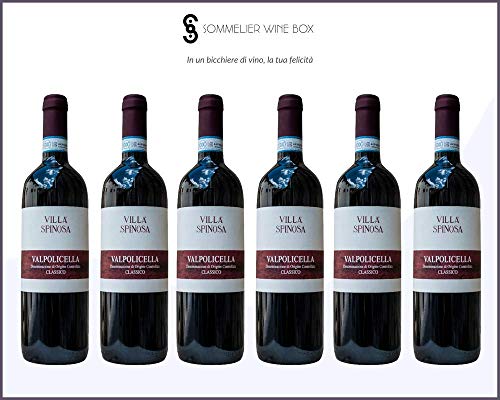 Sommelier Wine Box VALPOLICELLA CLASSICO   Cantina Villa Spinosa   Annata 2019