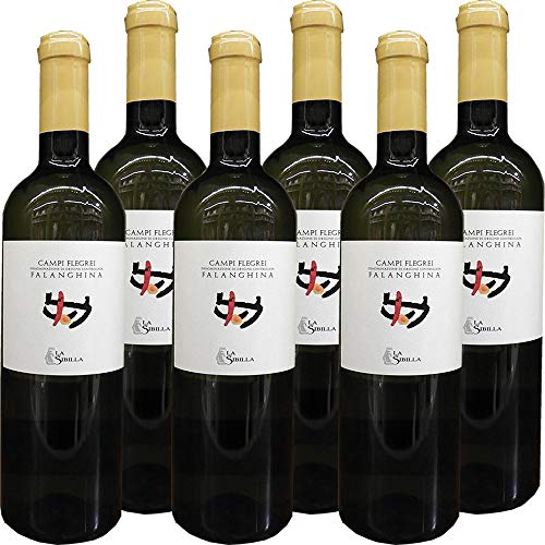 La Sibilla Falanghina Doc dei Campi Flegrei      Vino Bianco della Campania   Confezione 6 Bottiglie da 75 Cl   Idea Regalo