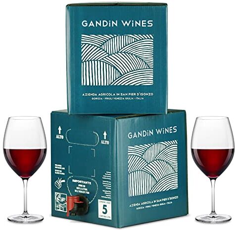 Vigne di Giulia Bag in Box vino Refosco dal Peduncolo Rosso IGT Venezia Giulia 12%  2 confezioni da 5 litri