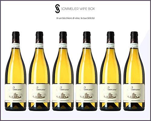 Sommelier Wine Box FRASCATI SUPERIORE Racemo Bianco   Cantina L'olivella   Annata 2019