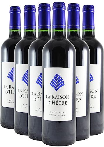 Generico Raison d'Hêtre rosso 2020 Organico Thienpont Vins Fins DOP Côtes de Bordeaux Castillon Bordeaux Francia Vitigni Cabernet Franc,Merlot 6x75cl