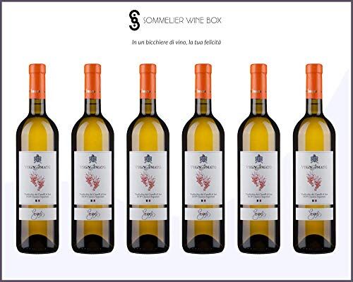 Sommelier Wine Box Eos VERDICCHIO CASTELLI DI JESI CLASSICO SUPERIORE   Cantina Vignamato   Annata 2019