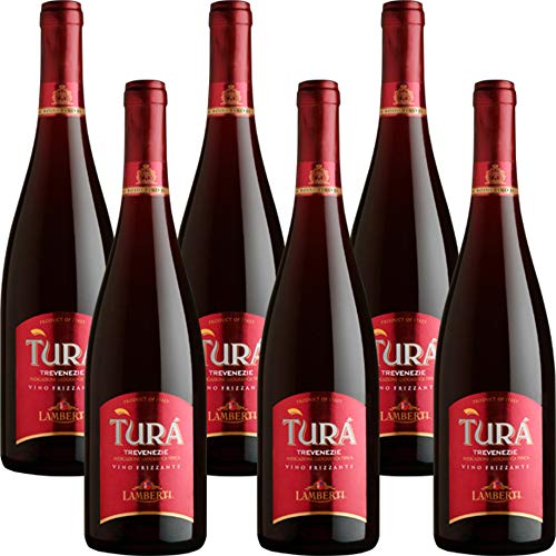 Turà Vino Rosso Frizzante    Trevenezie IGT   Veneto   6 Bottiglie 75Cl   Per Happy Hour   Dopocene Easy Chic   Idea Regalo