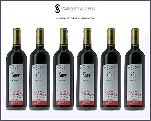 Sommelier Wine Box Suer MERLOT GARDA   Cantina Trevisani   Annata 2013