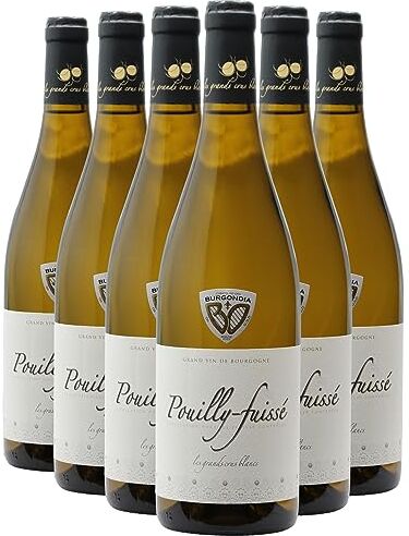 Generico Pouilly-Fuissé bianco 2021 Cave de Vinzelle DOP Borgogna Francia Vitigni Chardonnay 6x75cl