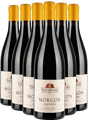 Generico Morgon Cinq Terres rosso 2021 Clos du Vieux Bourg DOP Beaujolais Francia Vitigni Gamay 6x75cl