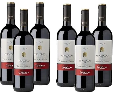 Trentiner TEROLDEGO GRIGOLLI 6 BOTTIGLIE 75 cl I CONCILIO