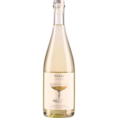 ZAHEL Austria Vienna VINO PET NAT EIN WILDES GLASCHEN GEMISCHTER SATZ BIO 2022 10,5% 750 ml BIANCO ZAHEL Austria Vienna VINO PET NAT EIN WILDES GLASCHEN GEMISCHTER SATZ BIO 2022 10,5% 750 ml BIANCO