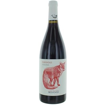 Petra Belvento i Vini del Mare Ciliegiolo IGT -750 ml Petra Belvento i Vini del Mare Ciliegiolo IGT -750 ml
