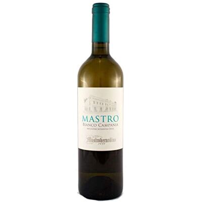 Mastroberardino Vino Mastro IGP bianco Cartone da 6 Pezzi Mastroberardino Vino Mastro IGP bianco Cartone da 6 Pezzi