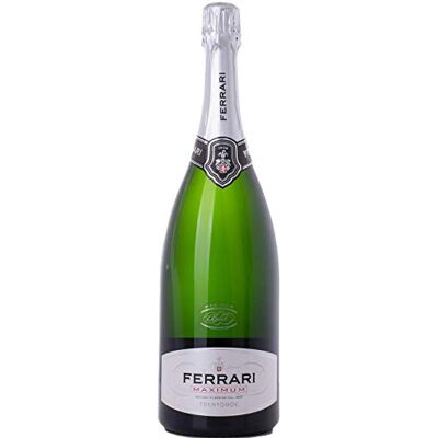 Acer MAXIMUM Blanc de Blancs Brut 12,5% Vol. 1,5l Acer MAXIMUM Blanc de Blancs Brut 12,5% Vol. 1,5l