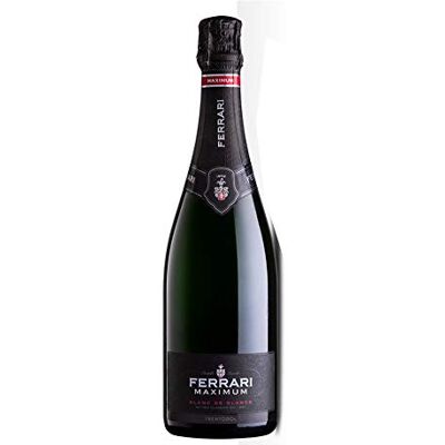 Acer Trento D.O.C. Maximum Brut Blanc de Blancs Magnum Bollicine Trentino Alto Adige 12,5% Acer Trento D.O.C. Maximum Brut Blanc de Blancs Magnum Bollicine Trentino Alto Adige 12,5%