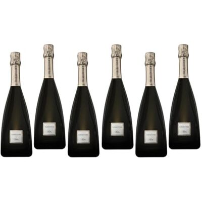 FERGHETTINA FRANCIACORTA SATEN BRUT DOCG 75 CL 6 BOTTIGLIE FERGHETTINA FRANCIACORTA SATEN BRUT DOCG 75 CL 6 BOTTIGLIE