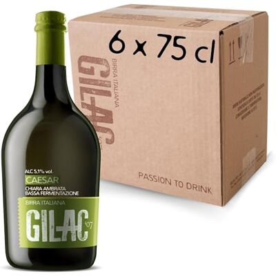 Gilac CAESAR MÜNICH HELLES Birra artigianale Ambrata 6 Bottiglie da 75 cl, Birra Speciale Italiana Non Filtrata e Non Pastorizzata, Birre artigianali confezioni regalo Gradazione Alcolica 5.1% Vol Gilac CAESAR MÜNICH HELLES Birra artigianale Ambrata 6 Bottiglie da 75 cl, Birra Speciale Italiana Non Filtrata e Non Pastorizzata, Birre artigianali confezioni regalo Gradazione Alcolica 5.1% Vol