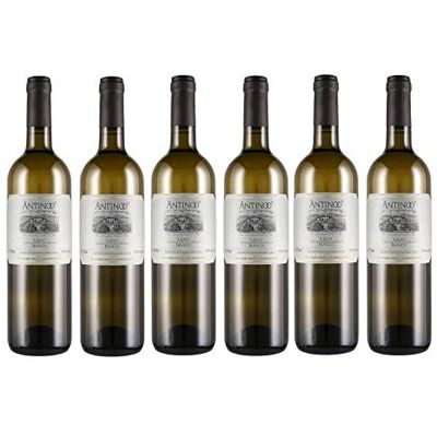 Casale Del Giglio Antinoo Bianco Lazio IGT/IGP 6 Bottiglie Casale Del Giglio Antinoo Bianco Lazio IGT/IGP 6 Bottiglie