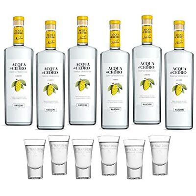 Nardini LIQUORE ACQUA DI CEDRO 1 LT 6 BOTTIGLIE CON 6 BICCHIERI Nardini LIQUORE ACQUA DI CEDRO 1 LT 6 BOTTIGLIE CON 6 BICCHIERI