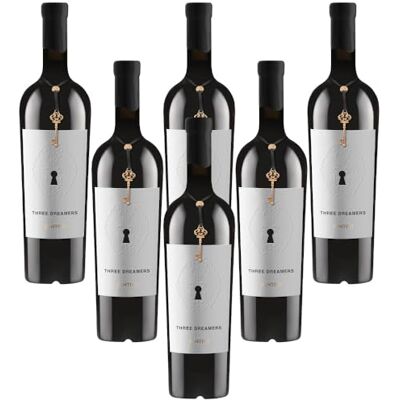 FANTINI Three Dreamers Vino Rosso Appassito 6 bottiglie cl. 75 FANTINI Three Dreamers Vino Rosso Appassito 6 bottiglie cl. 75