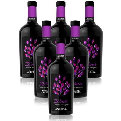 Astoria Cabernet Sauvignon Icòna D.O.C. (6 bottiglie 75 cl.) Astoria Cabernet Sauvignon Icòna D.O.C. (6 bottiglie 75 cl.)