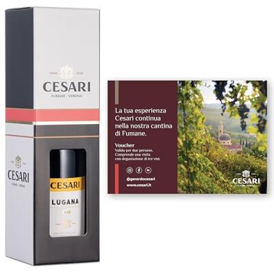 Cesari Confezione regalo con Esclusiva Esperienza per 2 persone e Lugana DOC 2024-1 bottiglia da 750 ml Cesari Confezione regalo con Esclusiva Esperienza per 2 persone e Lugana DOC 2024-1 bottiglia da 750 ml