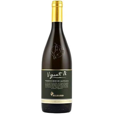 BELISARIO VIGNETI B. 2022 VERDICCHIO DI MATELICA DOC VINO BIOLOGICO 75 CL BELISARIO VIGNETI B. 2022 VERDICCHIO DI MATELICA DOC VINO BIOLOGICO 75 CL
