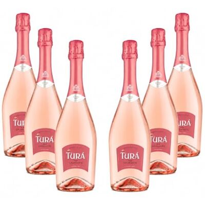 Lamberti Turà Spumante Rosé Extra Dry, 6 bottiglie Lamberti Turà Spumante Rosé Extra Dry, 6 bottiglie