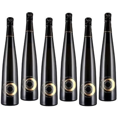 CERETTO I VIGNAIOLI DI SANTO STEFANO ASTI SPUMANTE 2022 DOCG 75 CL 6 BOTTIGLIE CERETTO I VIGNAIOLI DI SANTO STEFANO ASTI SPUMANTE 2022 DOCG 75 CL 6 BOTTIGLIE