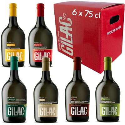 Gilac Birre artigianali confezione regalo Beerbox 6 bottiglie da 75cl Birra artigianale Italiana di alta qualità, Degustazione birra selezione premium Idea regalo unica Made in Italy Gilac Birre artigianali confezione regalo Beerbox 6 bottiglie da 75cl Birra artigianale Italiana di alta qualità, Degustazione birra selezione premium Idea regalo unica Made in Italy