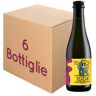 Spirits Iggy Birra dell’Eremo Wild Farmhousse ALE BOTT. 37,5 Cl KIT 6