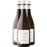 Generico Vinho Verde Avesso Esculpido Vinhas Velhas bianco 2021 Organico Quinta Santa Teresa DOC Portogallo Vitigni Avesso 3x75cl