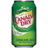 Canada Dry 33cl (pack de 24)