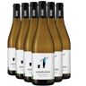Generico Vinho Verde Avesso bianco 2022 Organico Quinta Santa Teresa DOC Portogallo Vitigni Avesso 6x75cl