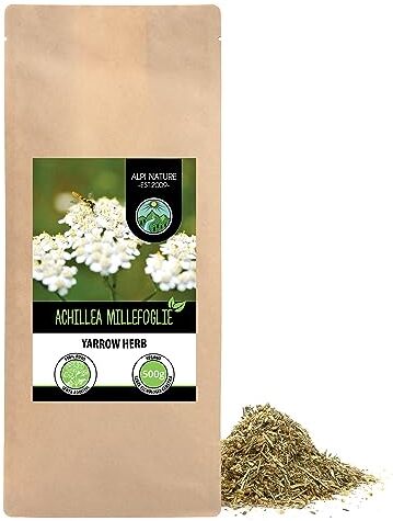 Alpi Nature Tè di achillea (500g), tagliato, essiccato delicatamente, achillea pura al 100% e naturale per la preparazione di tè, tisana