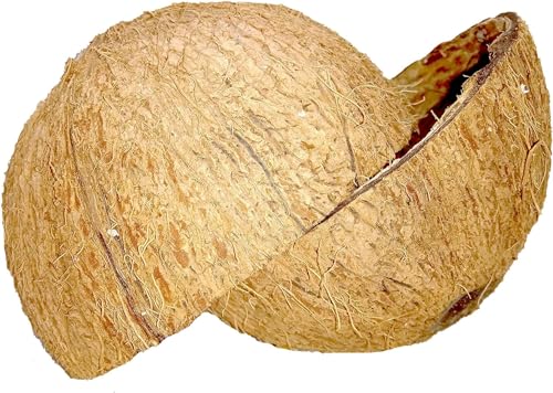 SIRIMAL 2 pezzi di noce di cocco a metà/Eco-Friendly Ceylon 100% naturale noce di cocco biologico metà per guscio di cocco artigianale fatto a mano / 2 pezzi HALVES