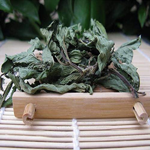 HELLOYOUNG 50g (0,11LB) Foglie alla menta Tè alla menta selvatica Premium Tè alla menta fresca Tè alle erbe Ridurre il fegato Tè profumato al fuoco Tè floreale