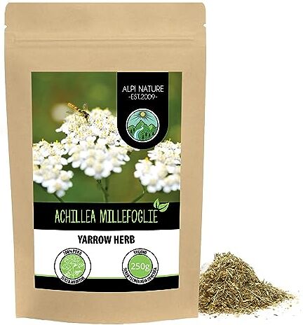 Alpi Nature Tè di achillea (250g), tagliato, essiccato delicatamente, achillea pura al 100% e naturale per la preparazione di tè, tisana